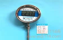 径向数字温度计DTM-411